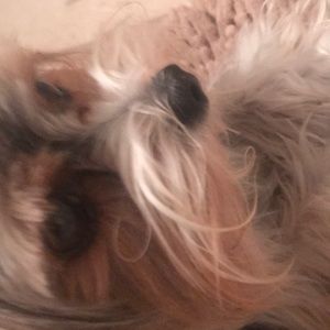 Meet your Posher, Rosanne